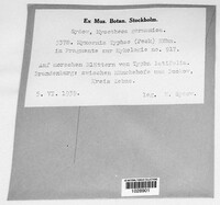 Image Associated With the Occurence